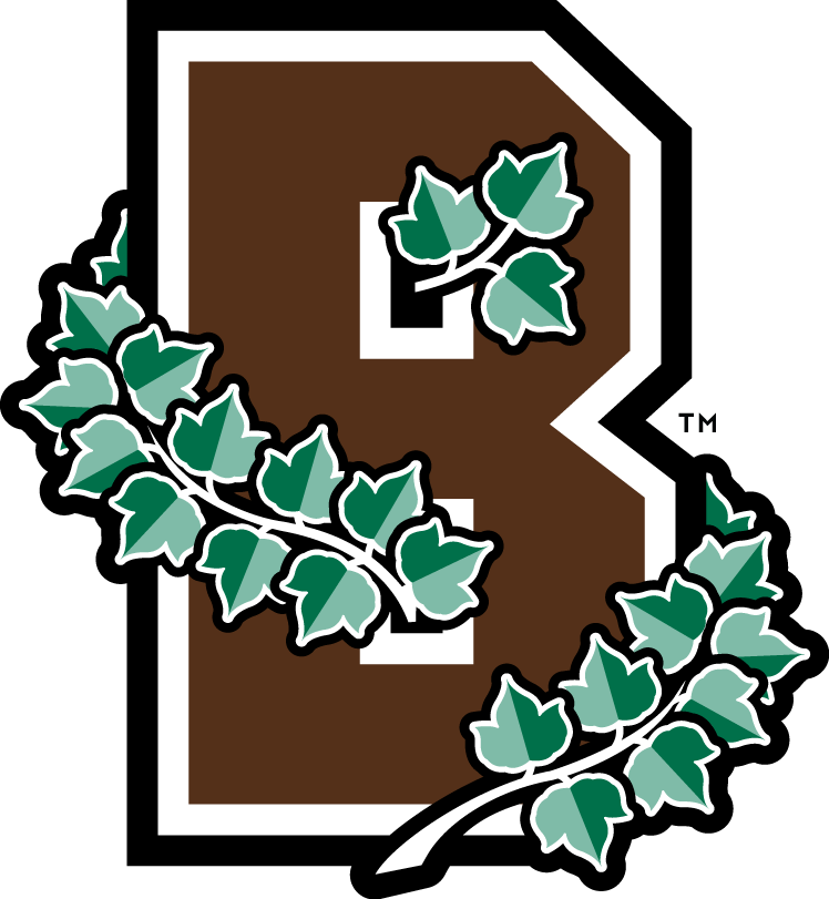 Brown Bears 2003-Pres Alternate Logo diy fabric transfer